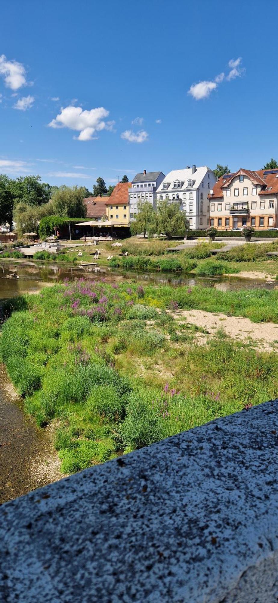 Ferienwohnung Am Donauradweg Tuttlingen Εξωτερικό φωτογραφία