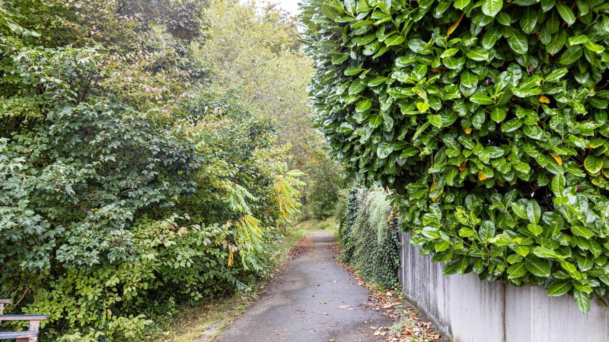 Ferienwohnung Am Donauradweg Tuttlingen Εξωτερικό φωτογραφία