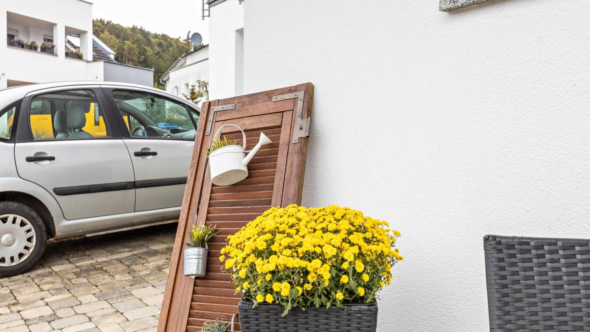 Ferienwohnung Am Donauradweg Tuttlingen Εξωτερικό φωτογραφία