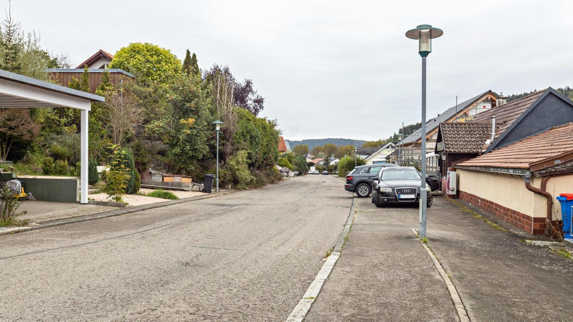 Ferienwohnung Am Donauradweg Tuttlingen Εξωτερικό φωτογραφία